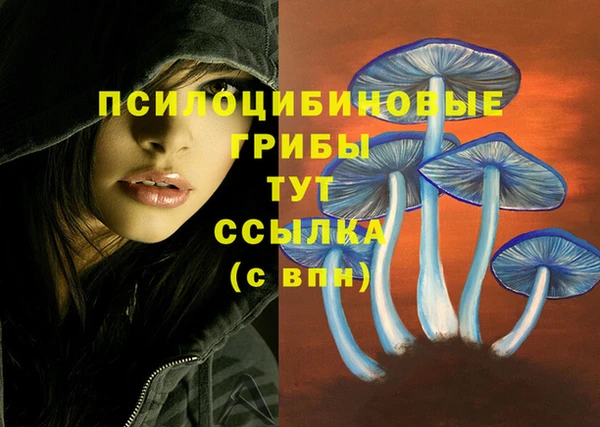 apvp Лиски