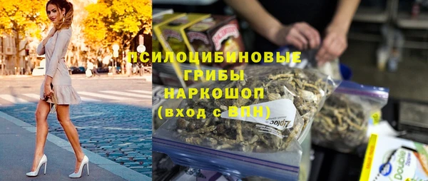 apvp Лиски