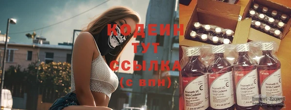 apvp Лиски